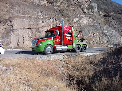 Coordinadora De Traslados Y Maniobras "ortiz"